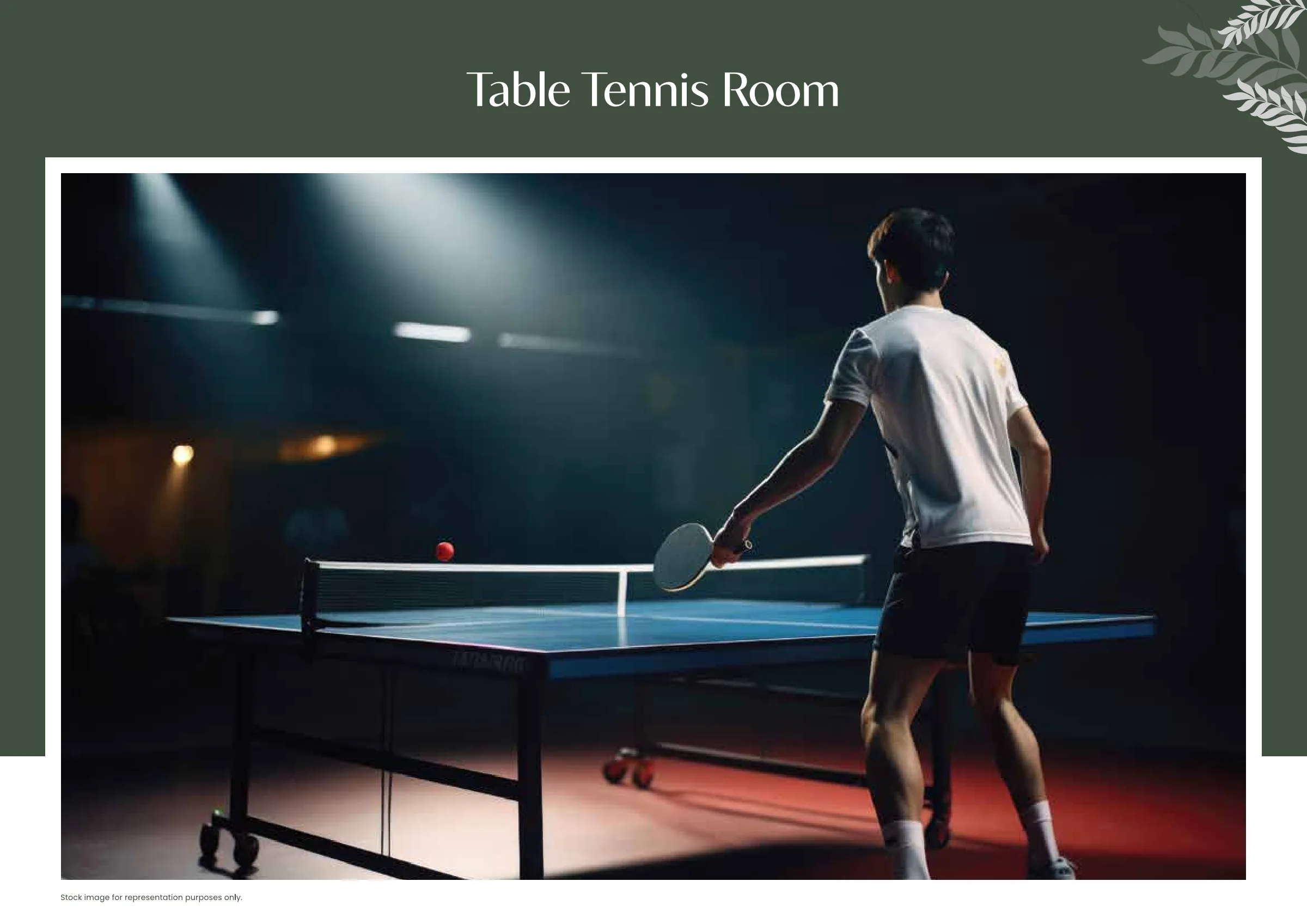 TVS Emerald Altura - Table Tennis Room