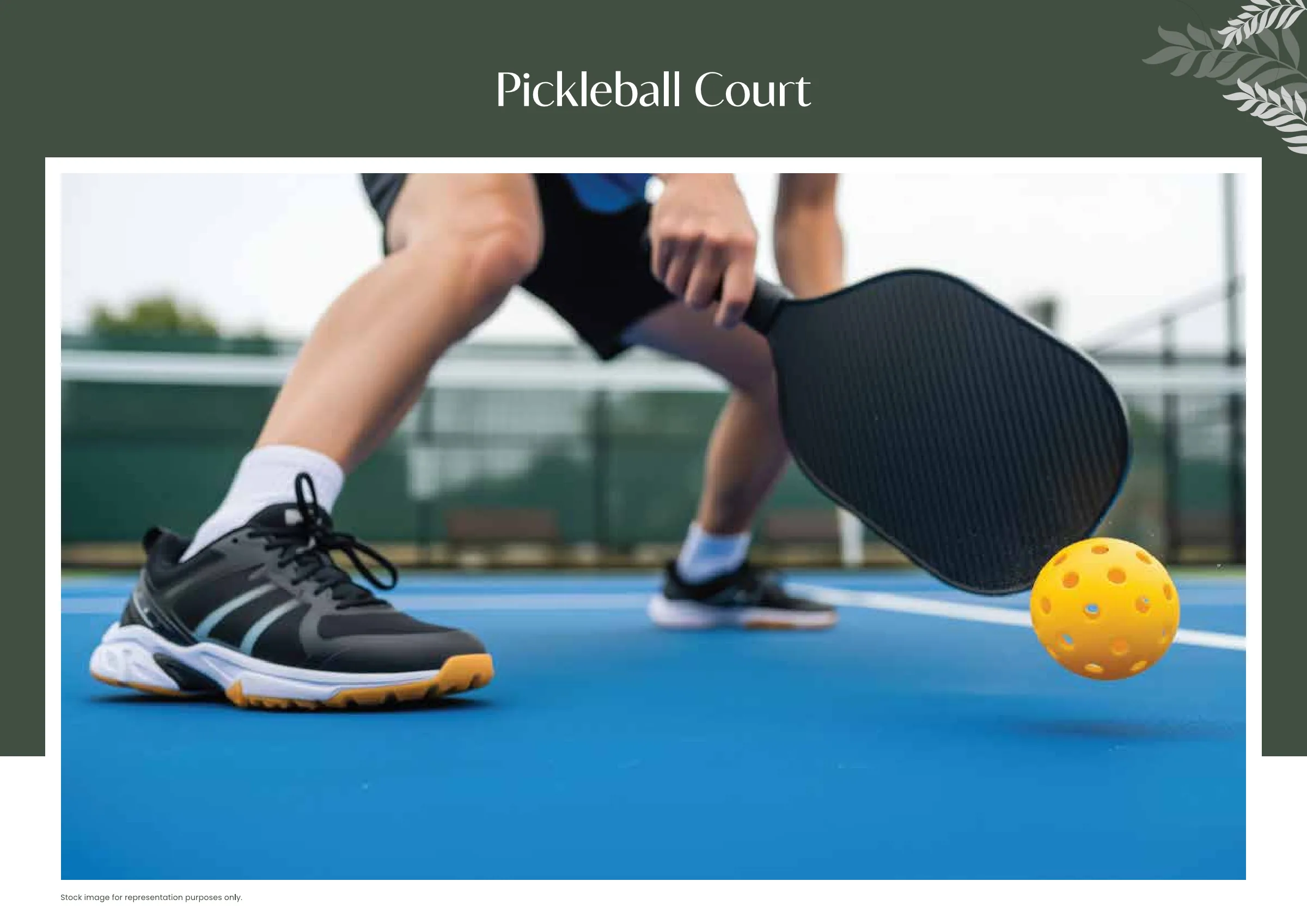 TVS Emerald Altura - Pickleball Court