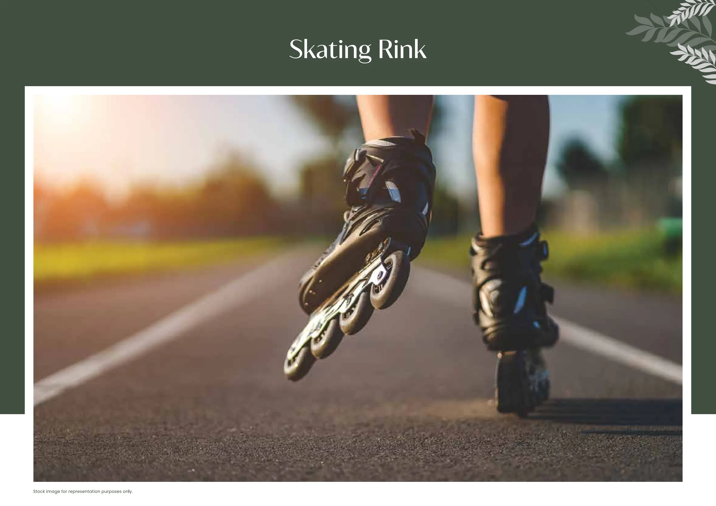 TVS Emerald Altura - Skating Rink