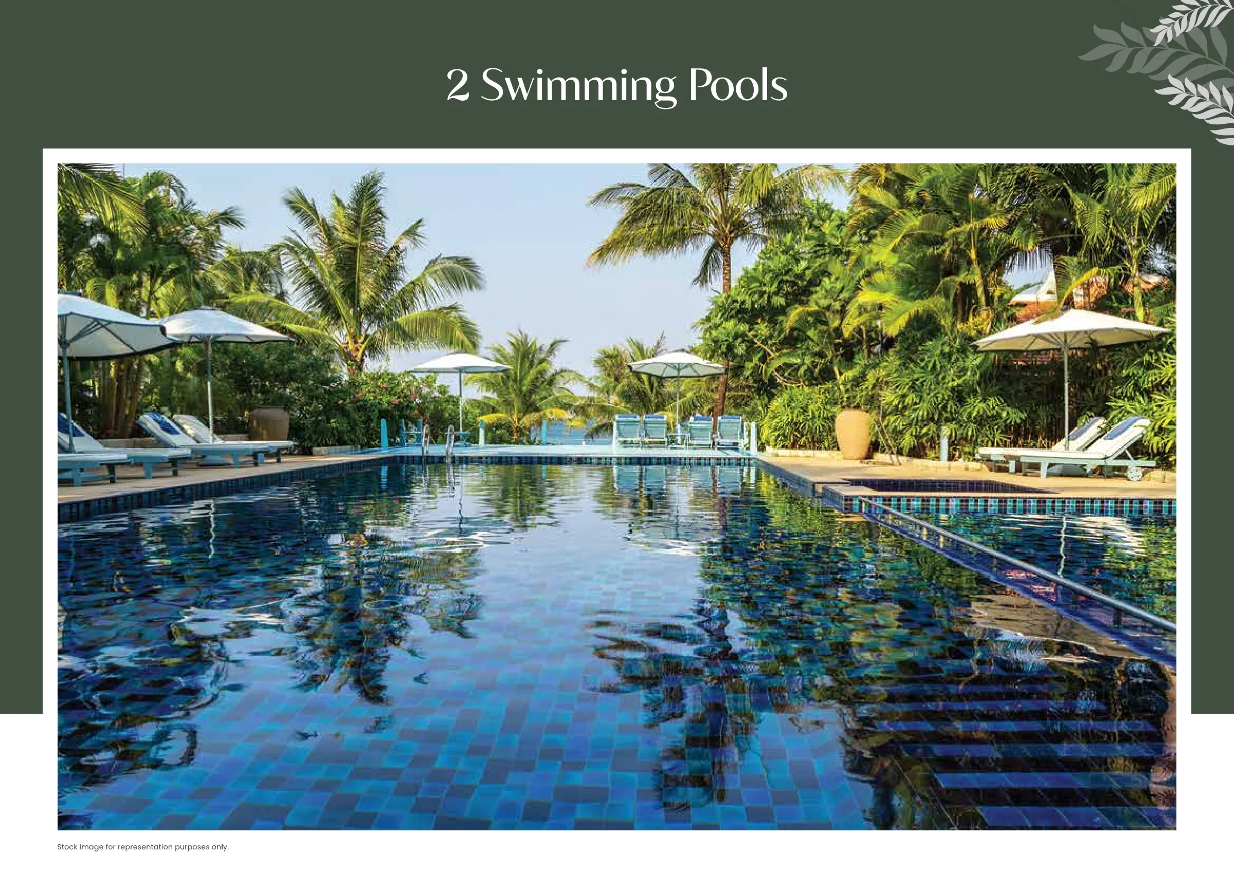 TVS Emerald Altura - Swimming Pool